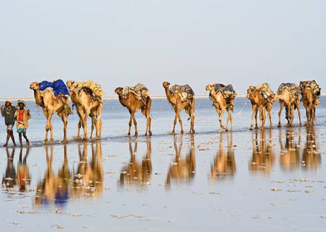 3-Day Danakil Depression and Erta Ale 4