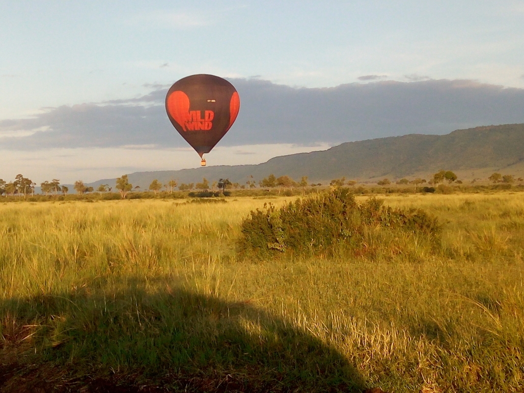 Kenya's Finest – 6 Days Through Samburu, Lake Nakuru & Masai Mara 2