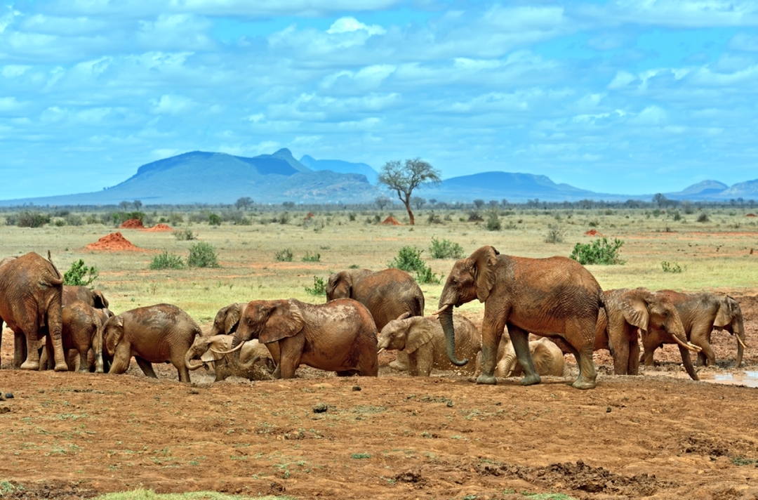 Best of Kenya: 6-Day Safari to Samburu, Aberdares, Nakuru & Masai Mara 2