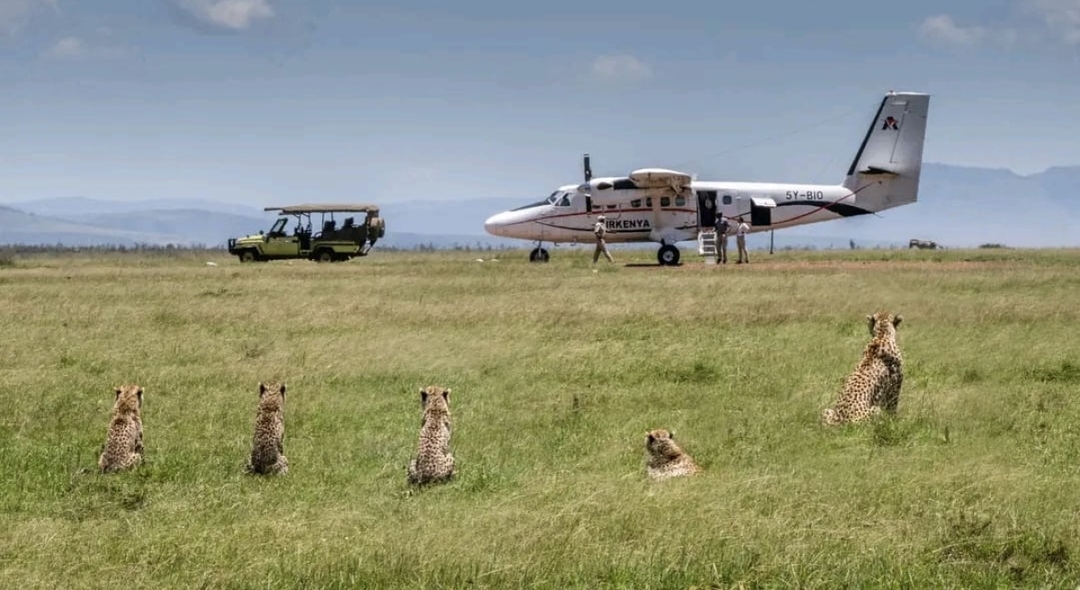 Best of Kenya: 6-Day Safari to Samburu, Aberdares, Nakuru & Masai Mara 6