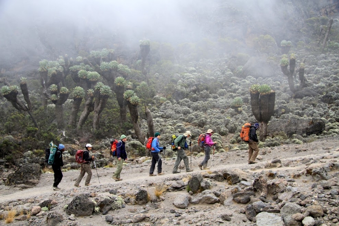 8 Days Kilimanjaro Lemosho Route via Western Breach Itinerary  4