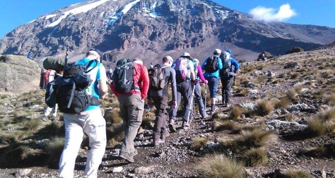 8 Days Kilimanjaro Lemosho Route via Western Breach Itinerary  6