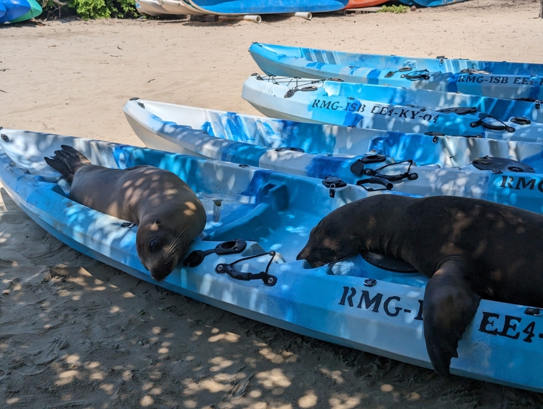 Galapagos 5 Days 2