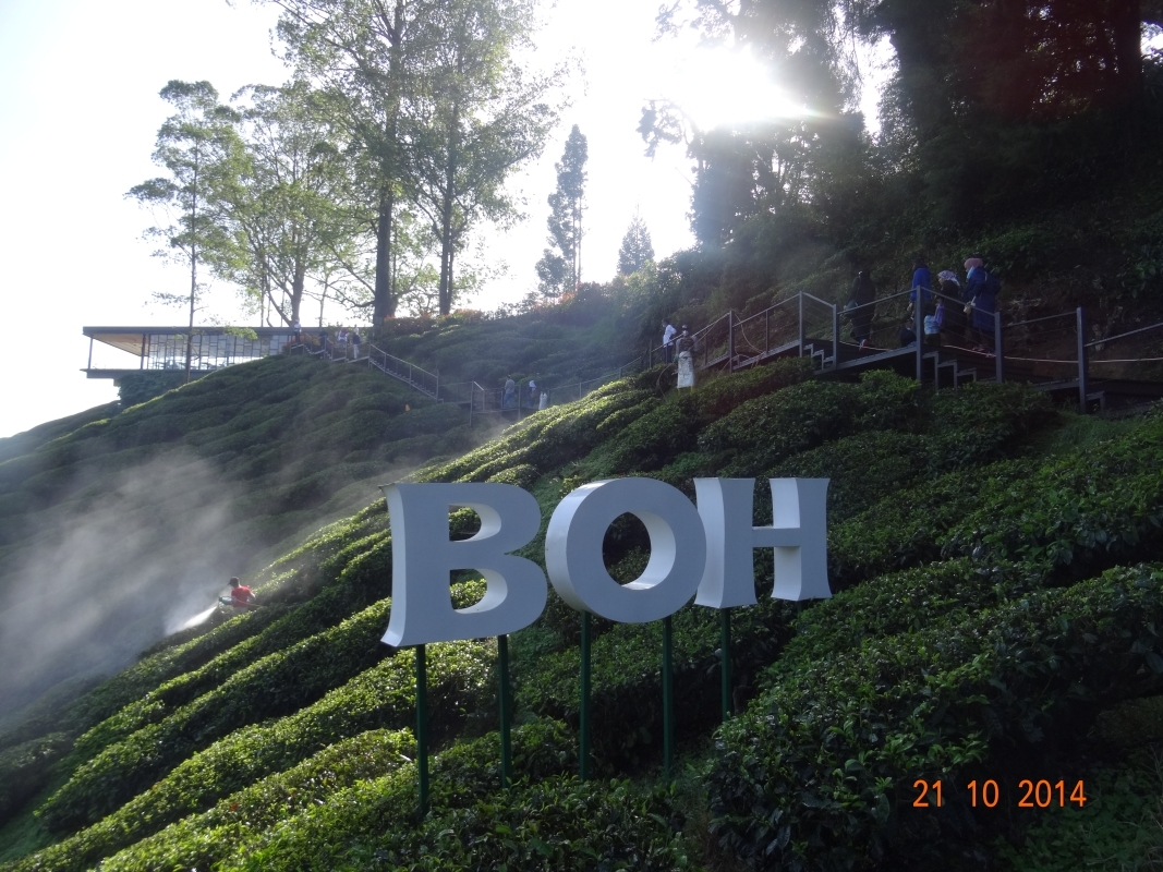 P 56 2D 1N Tour Kuala Lumpur - Cameron Highlands - Penang Drop Off 5