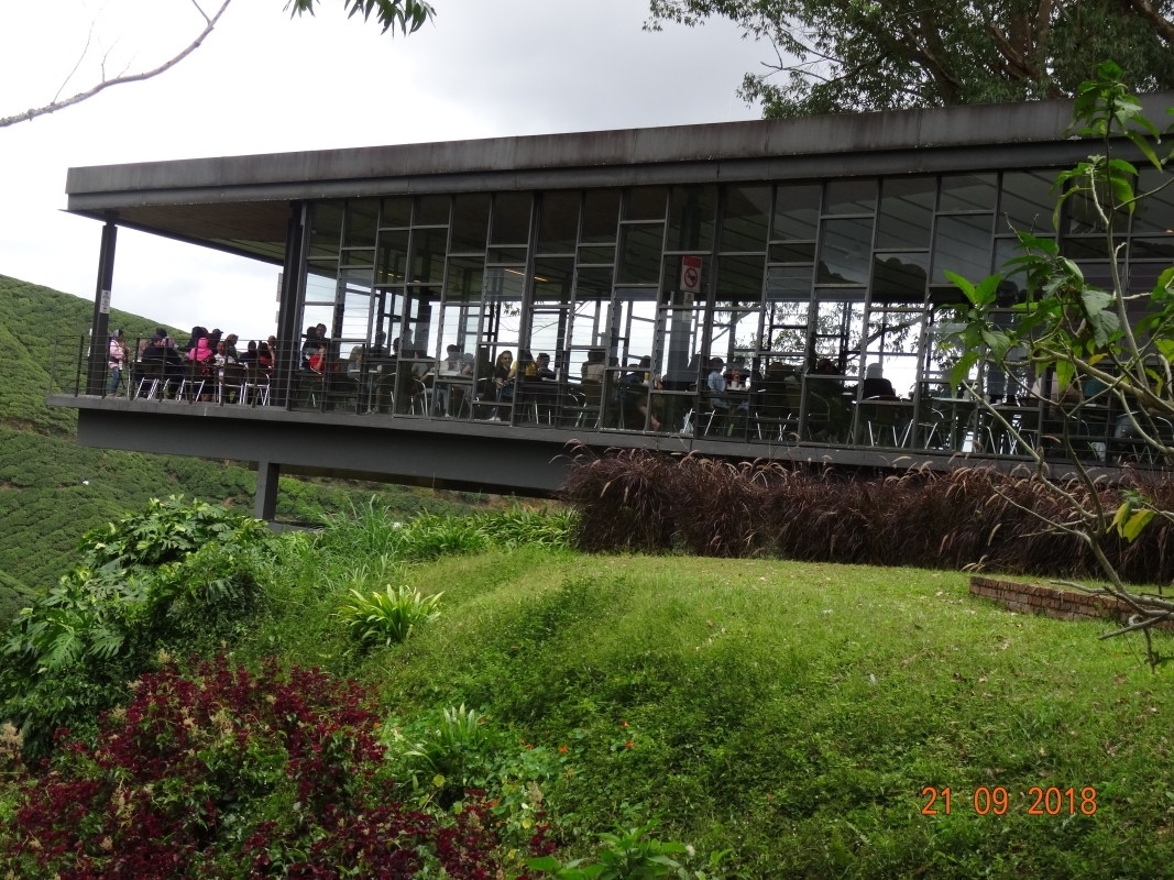 P 56 2D 1N Tour Kuala Lumpur - Cameron Highlands - Penang Drop Off 9