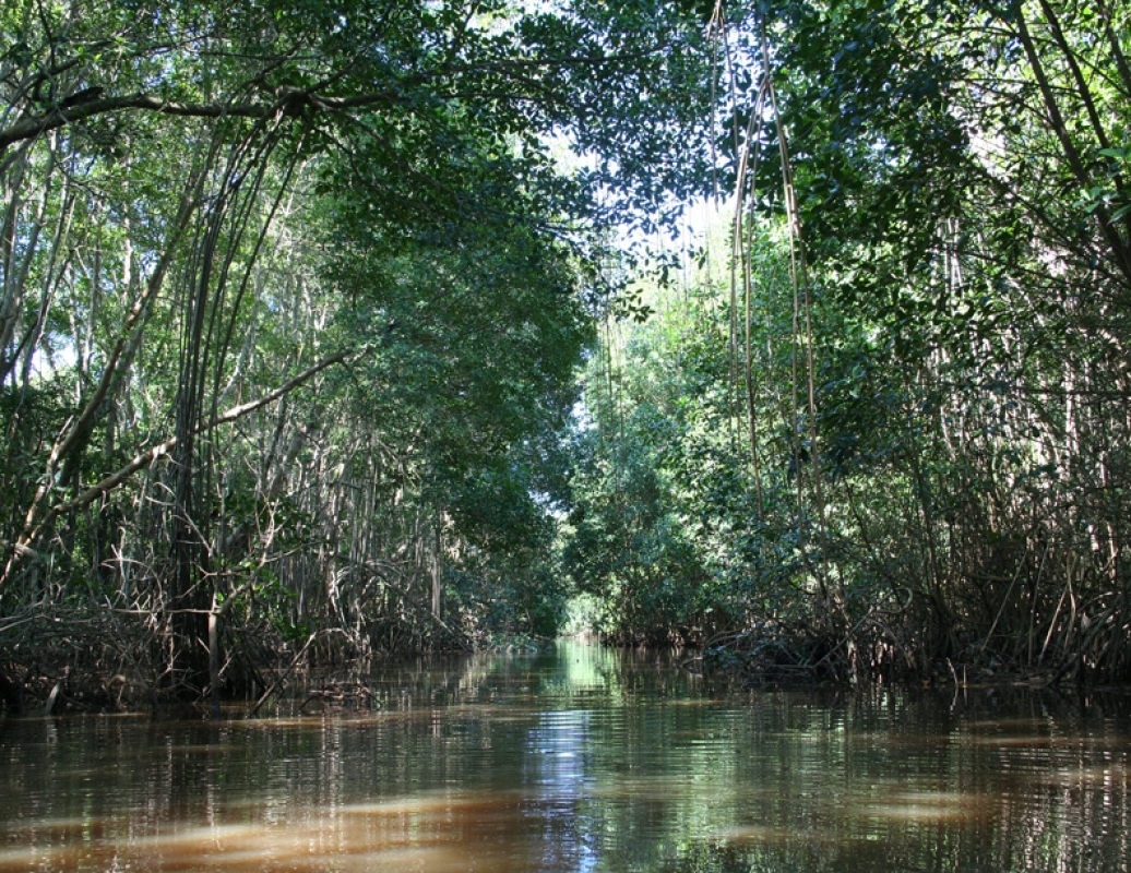 Image 5
