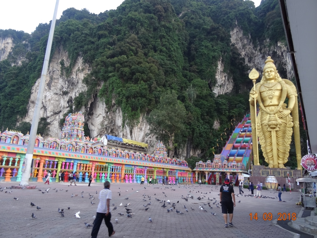 P61 6D5N Tour Singapore - Penang Island drop off 6