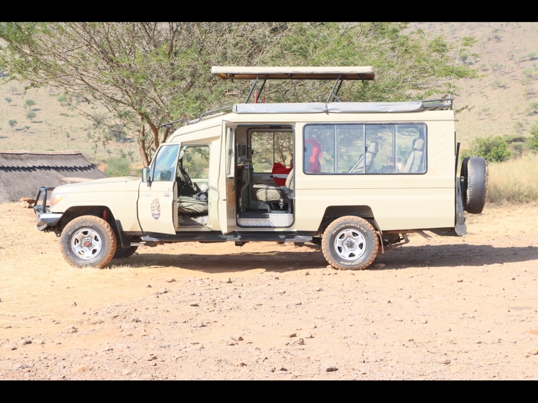 Big 5 Safari in Tanzania 2