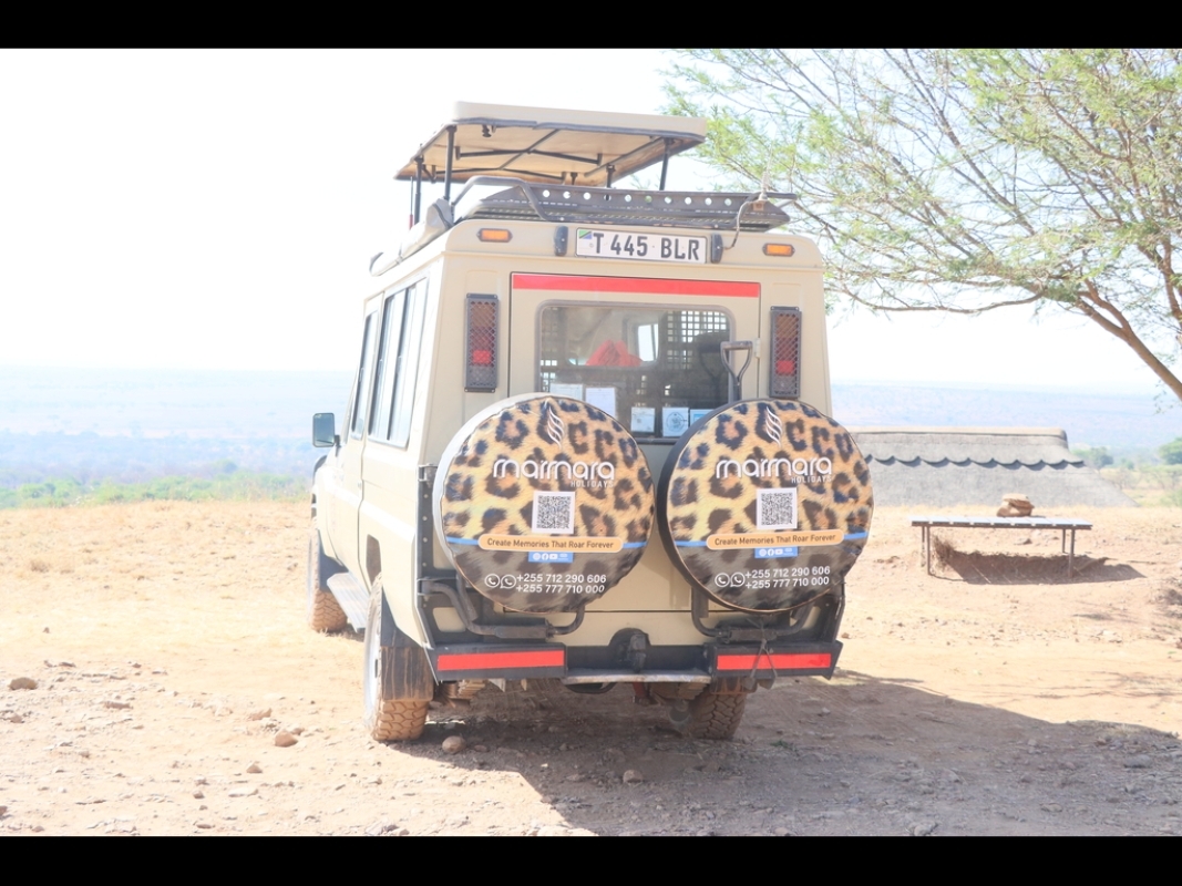 Big 5 Safari in Tanzania 3