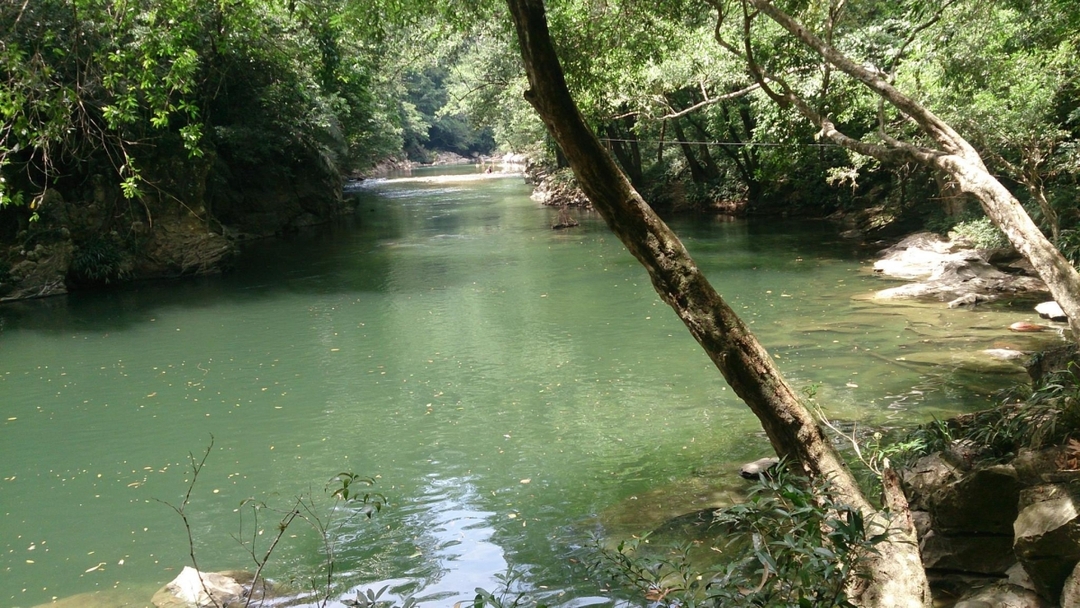 4 Days in Colombia - Urban Vibes & Wild Sides: Medellín to Rio Claro Escape 2