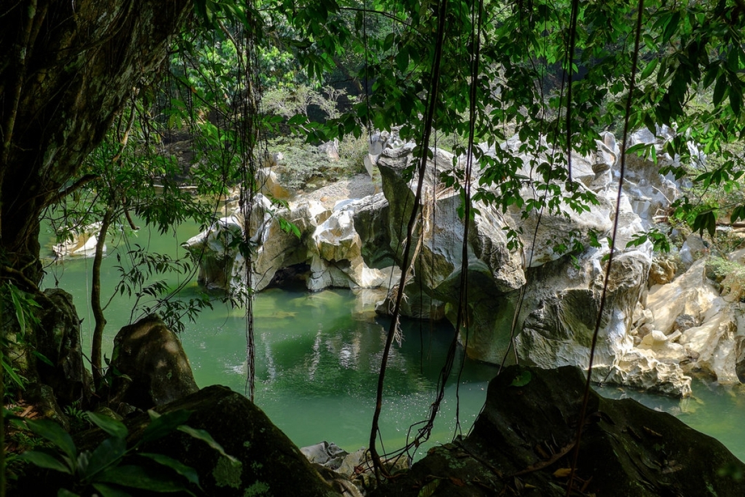 4 Days in Colombia - Urban Vibes & Wild Sides: Medellín to Rio Claro Escape 3