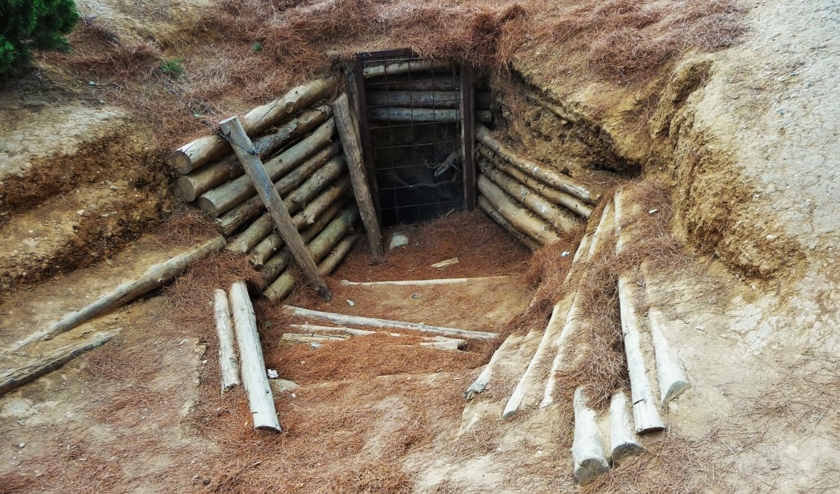 Image 7