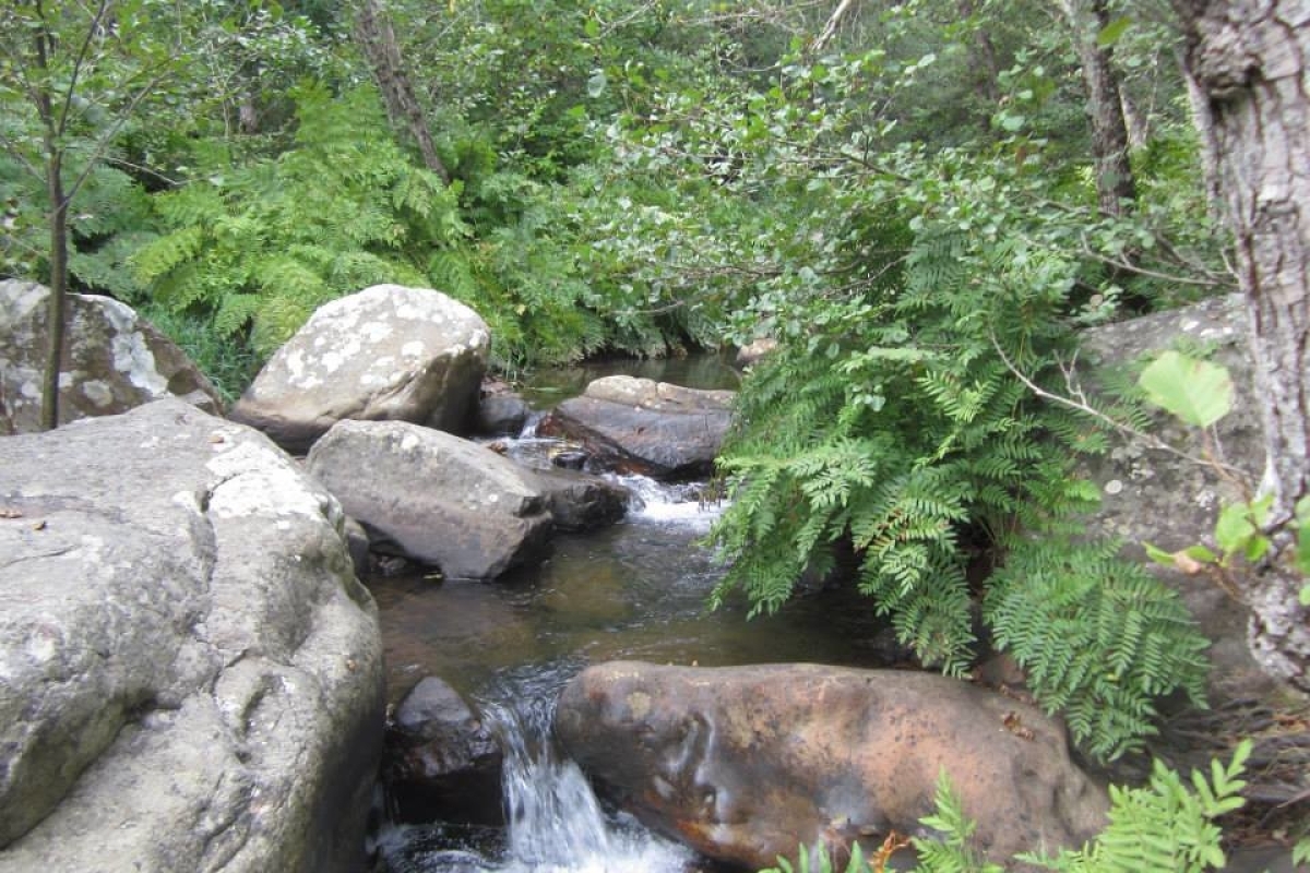 Image 9