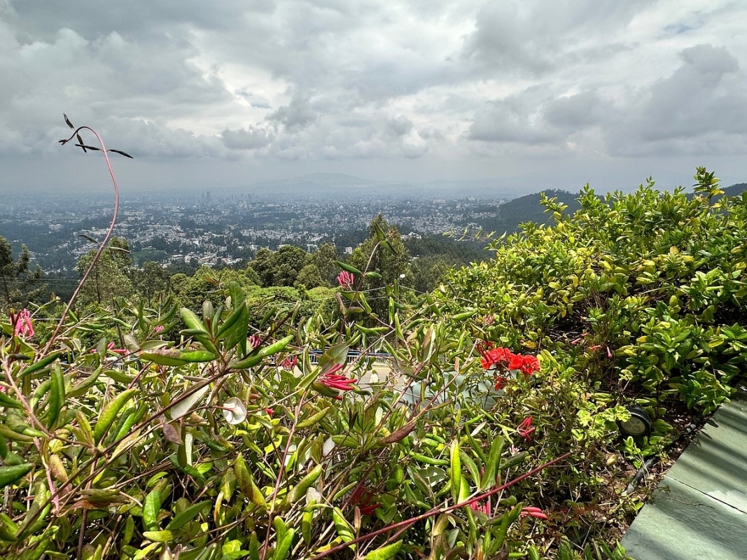 Full-Day Sightseeing Tour of Addis Ababa City 7
