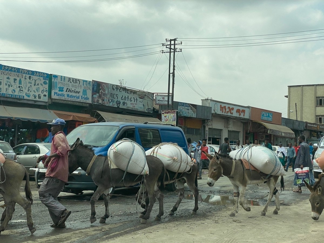 Full-Day Sightseeing Tour of Addis Ababa City 8
