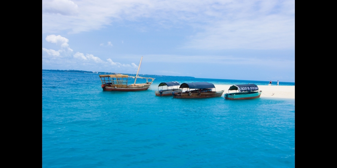 8 Days of Romance: Beach & Safari in Tanzania 2