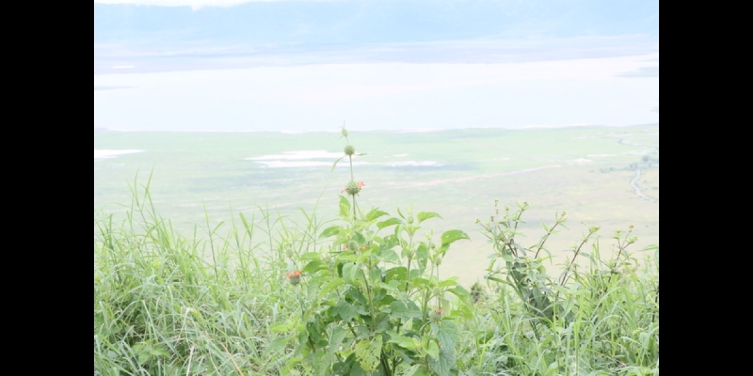 8 Days of Romance: Beach & Safari in Tanzania 8
