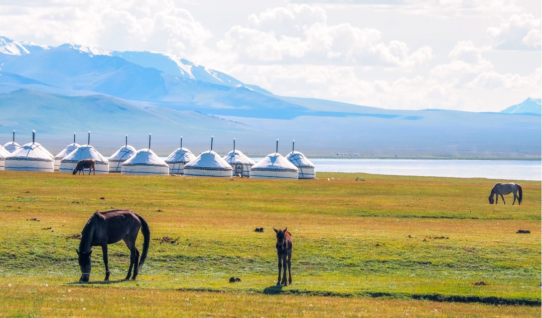 Popular Issyk-Kul and Son-Kul tour Kyrgyzstan, 5 days 5