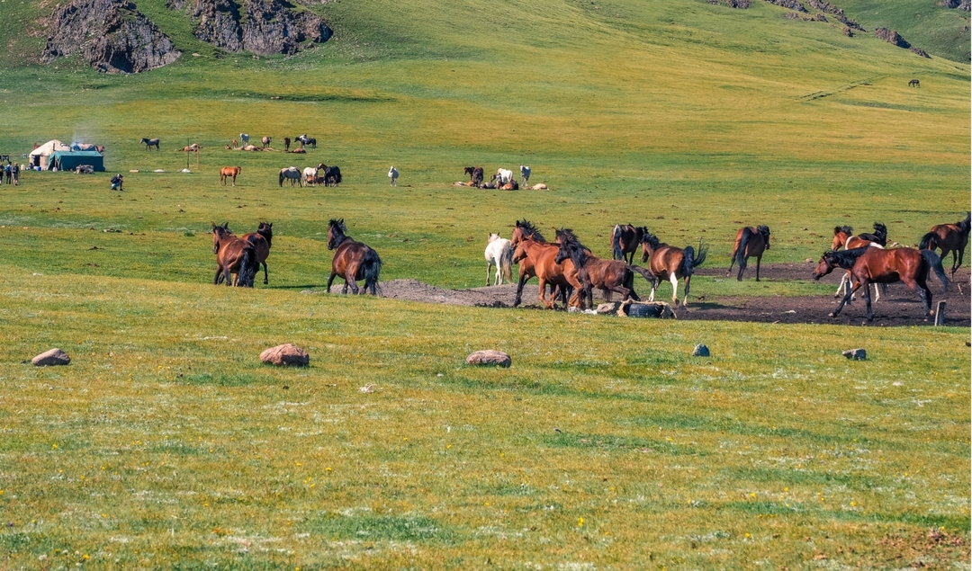 Popular Issyk-Kul and Son-Kul tour Kyrgyzstan, 5 days 6