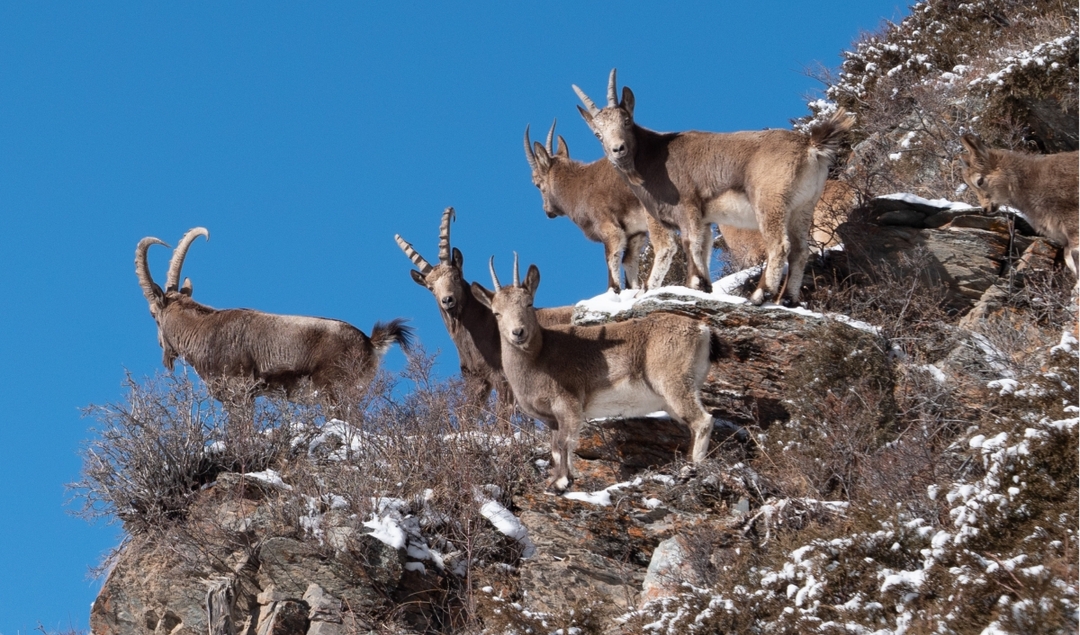 Popular Issyk-Kul and Son-Kul tour Kyrgyzstan, 5 days 9