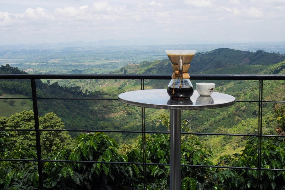 8 Days Colombia: A Cacao and Coffee Escape 9
