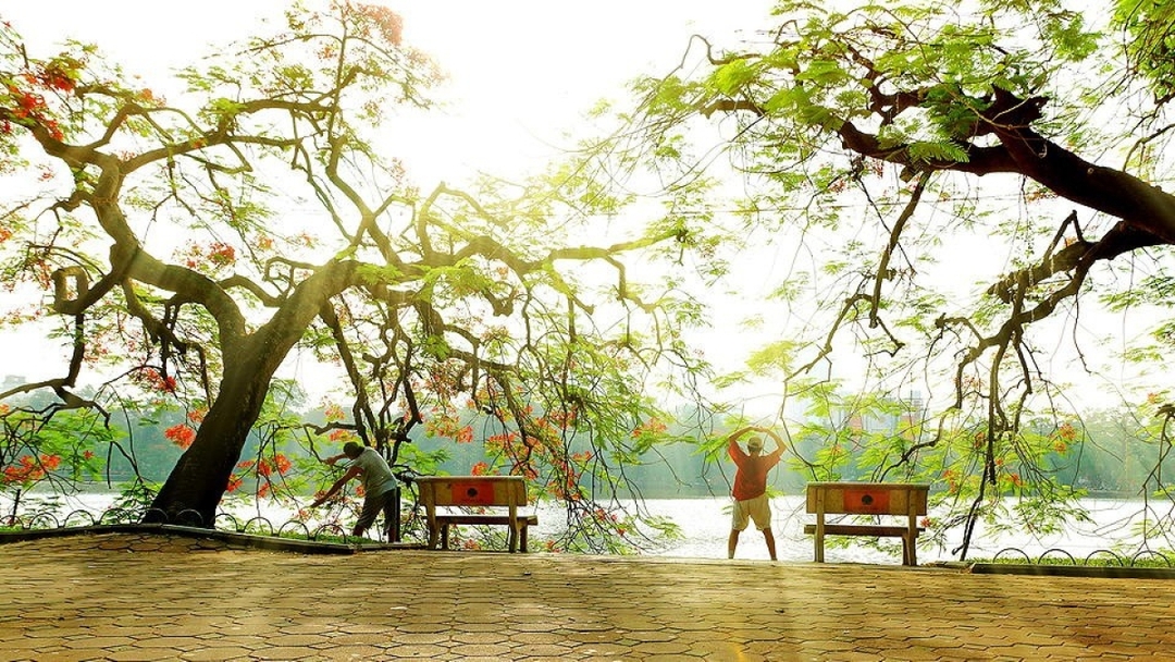 Hanoi Walking City Tour Half Day  1
