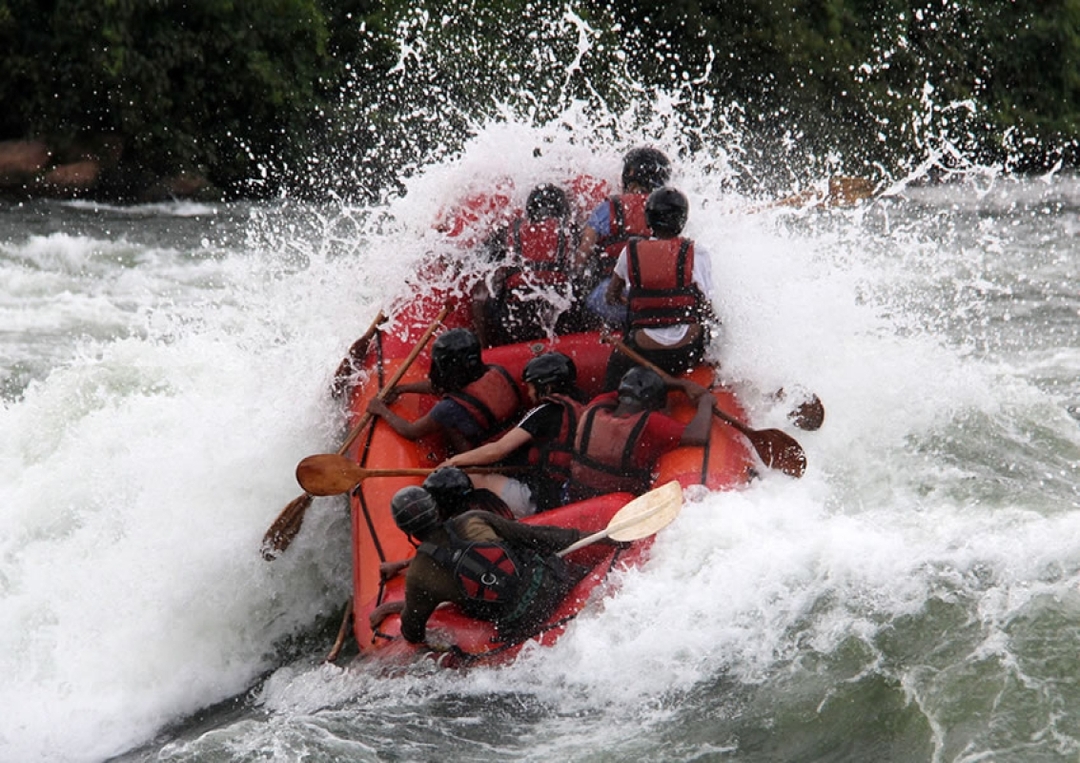 8 Day Gorilla & Chimps Wildlife Safari 9
