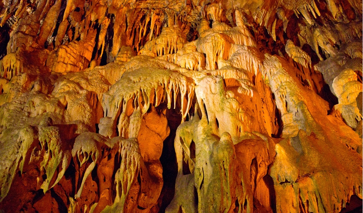 Image 10