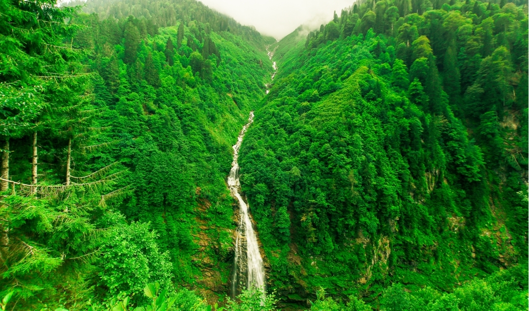 8 Day Turkey City & Coast Explorer: Istanbul, Ayder, Uzungöl & Bosphorus 4