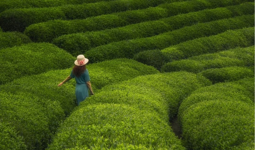 Journey To Green Paradise 12 Days Trabzon & Uzungol & Bursa & Istanbul Tour Package 5
