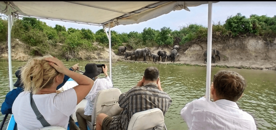 5 Days Uganda Gorillas, Chimpanzees and Wildlife Safari 3