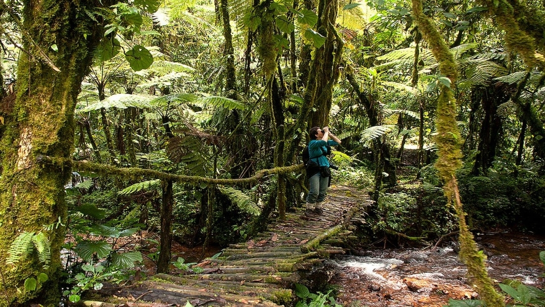 7 Days Uganda Gorilla Trek and Wildlife Safari 7