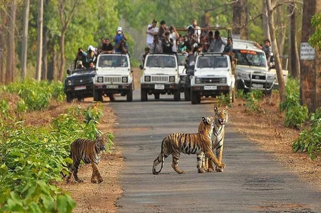 Golden Triangle with Tiger Safari at Ranthambore Tour 5