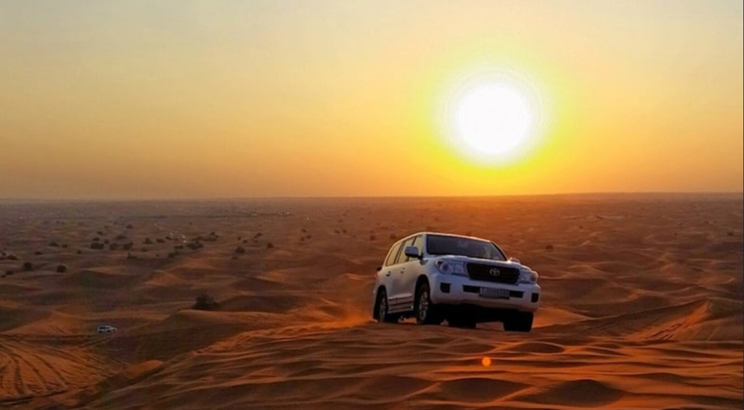 Morning desert safari 3