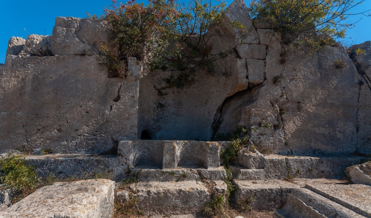 Image 6