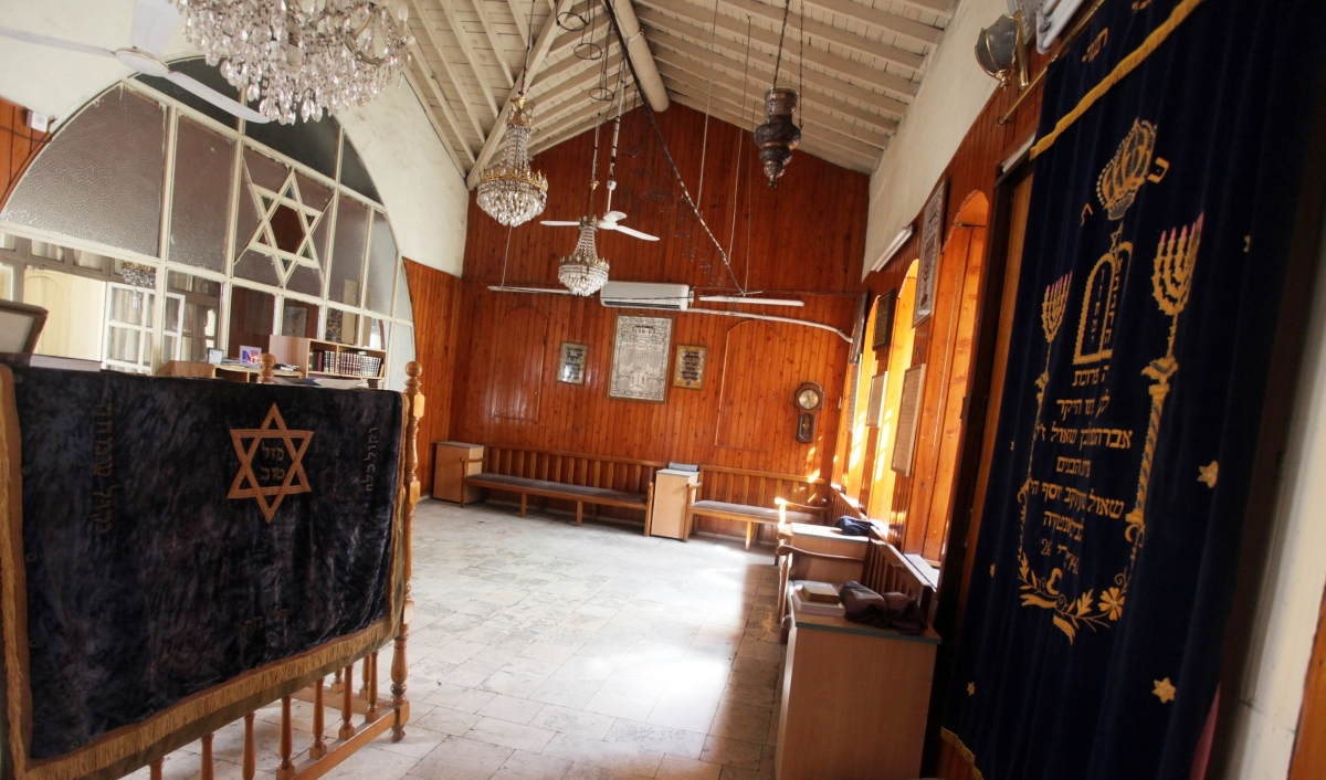 Image 7