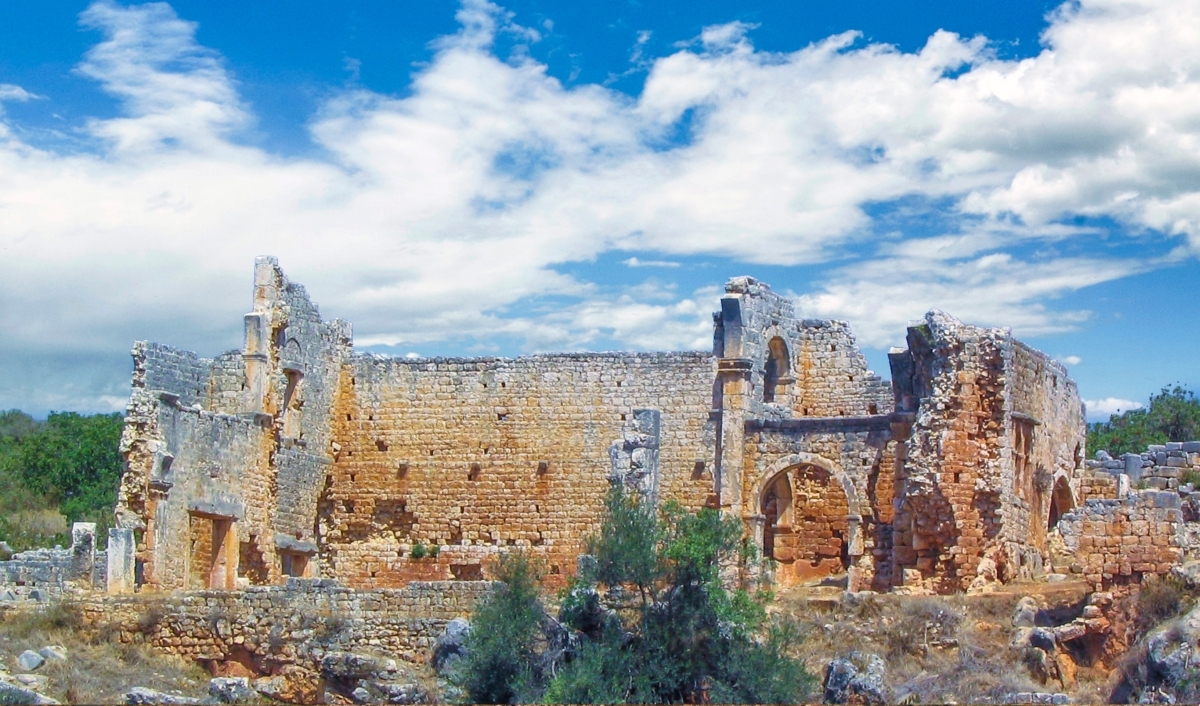 Image 6