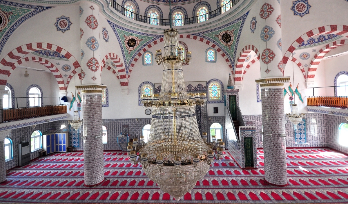 Image 7
