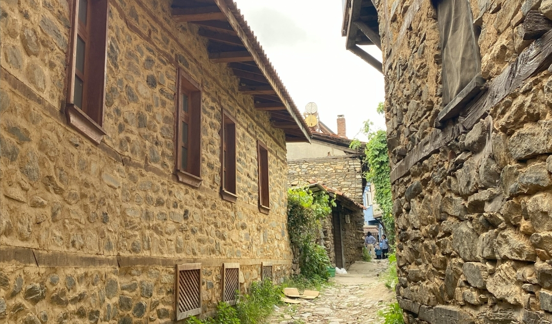 Daily Cumalikizik Ottoman Village Tour from Istanbul 2