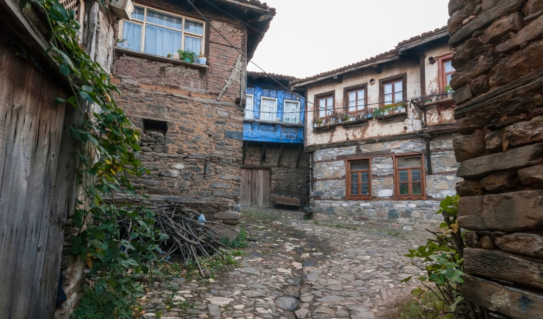 Daily Cumalikizik Ottoman Village Tour from Istanbul 3
