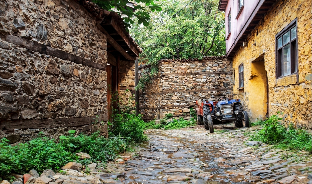 Daily Cumalikizik Ottoman Village Tour from Istanbul 4