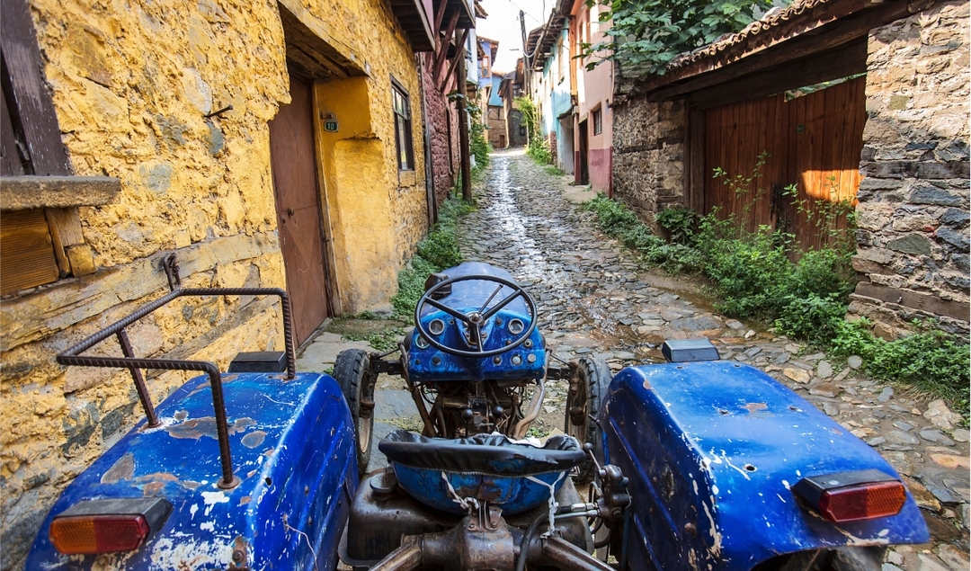 Daily Cumalikizik Ottoman Village Tour from Istanbul 8
