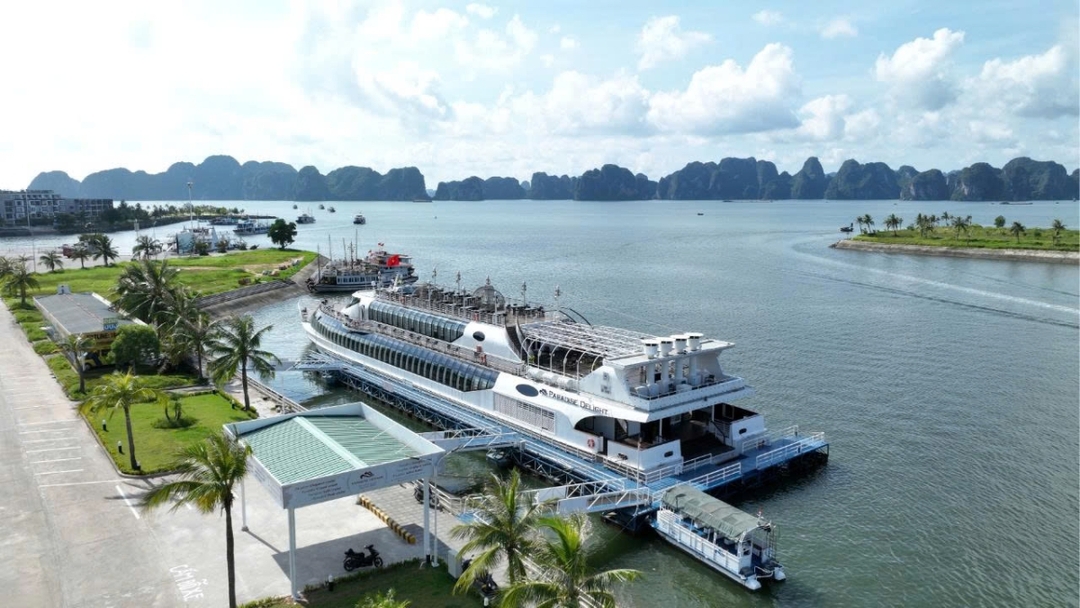 Paradise Delight Cruise – 7-Hour Halong Bay Experience with Lunch & Live Music By Sanna Tour 2