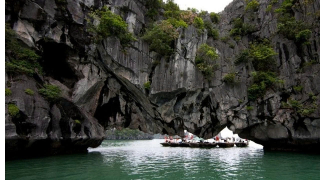 Paradise Delight Cruise – 7-Hour Halong Bay Experience with Lunch & Live Music By Sanna Tour 6
