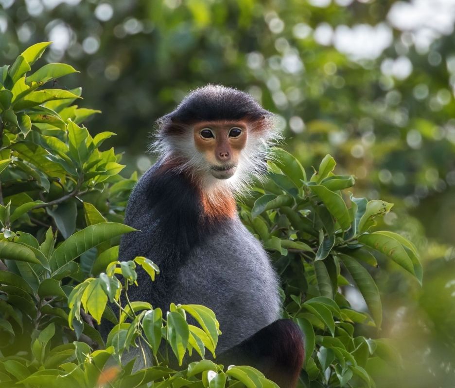 ITA Travel - Vietnam 10D/9N : MILD ADVENTURE - EXPLORING  CUC PHUONG OR BA BE NATIONAL PARK 2