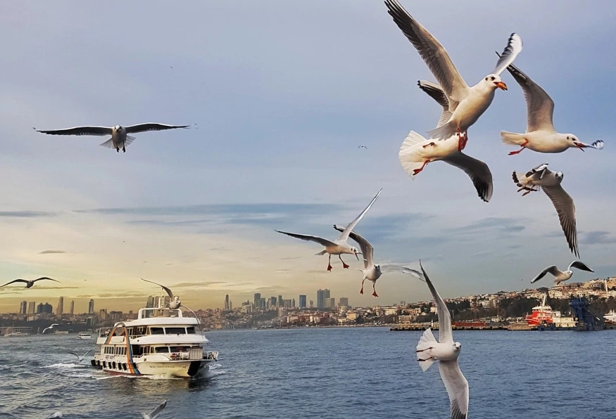 4 Days Istanbul Kite Surfing Tour 15