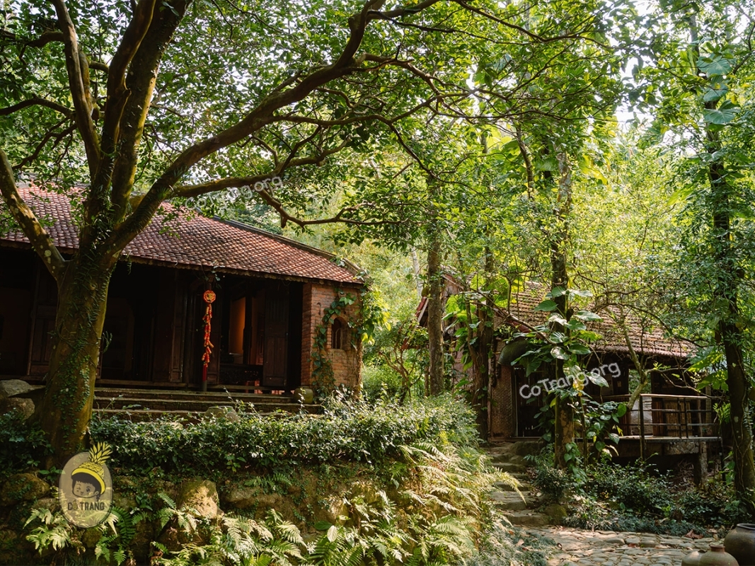 Traditional Vietnamese Costumes Experience at Dong Dinh Museum By Sanna Tour 8