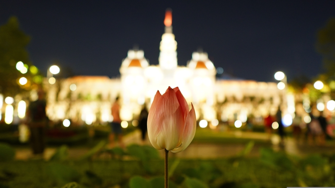 ITA Travel - Vietnam 9D/8N :  EMPEROR CRUISE … WHERE ROYAL GLAMOUR & HERITAGE COMBINE 2