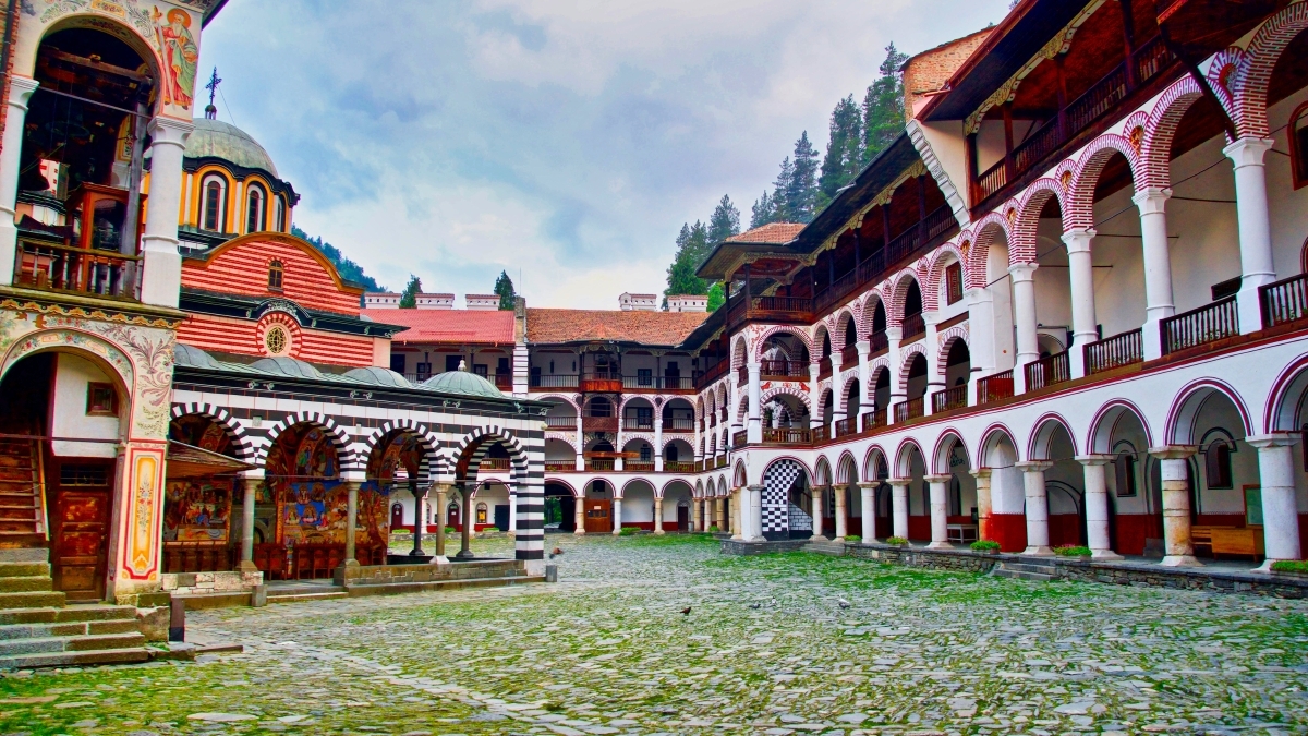 Image 4