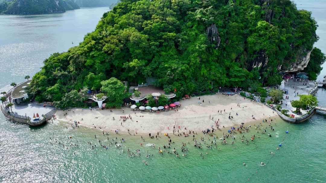 Iris Cruise – 1-Day Halong Bay Luxury Experience with Cave, Island & Live Music By Sanna Tour 8
